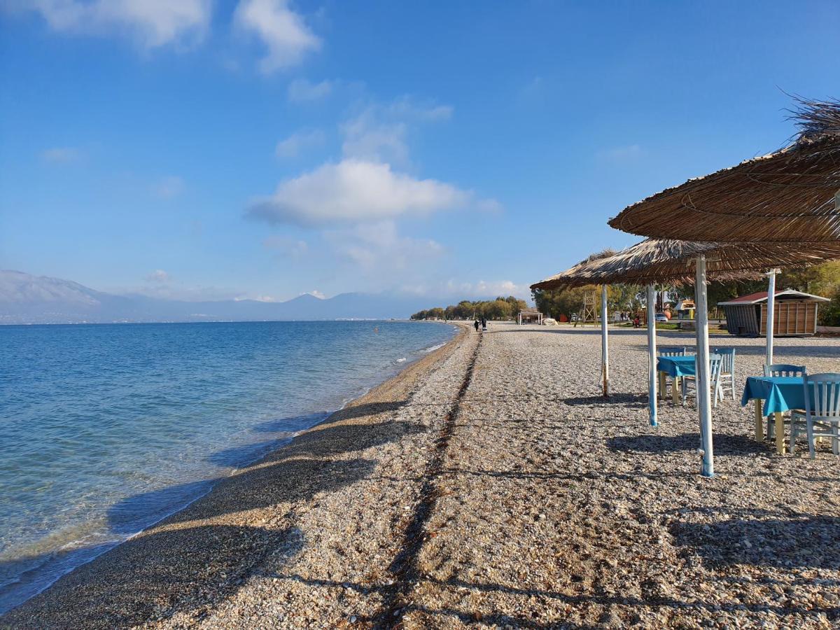Vacation And Relaxation Home Oropos Nea Palatia Esterno foto