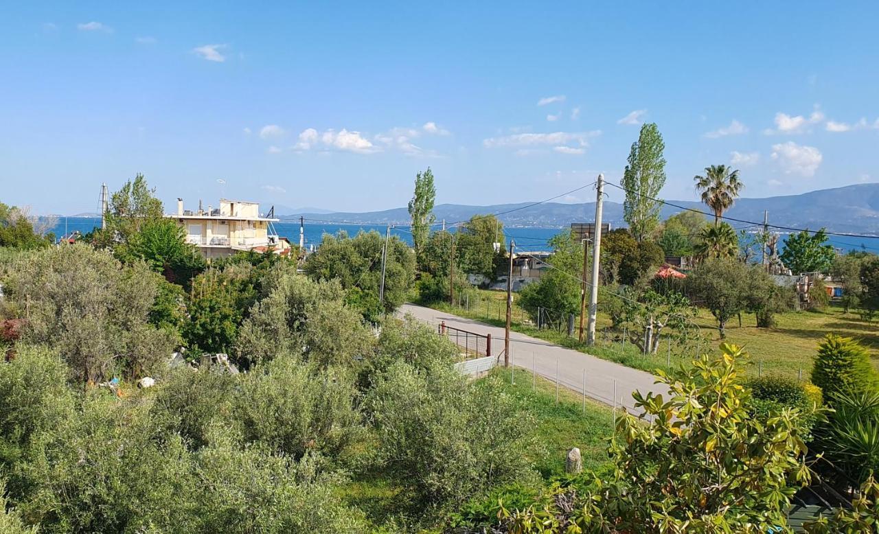 Vacation And Relaxation Home Oropos Nea Palatia Esterno foto