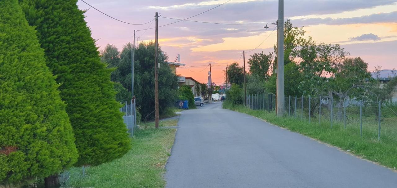 Vacation And Relaxation Home Oropos Nea Palatia Esterno foto