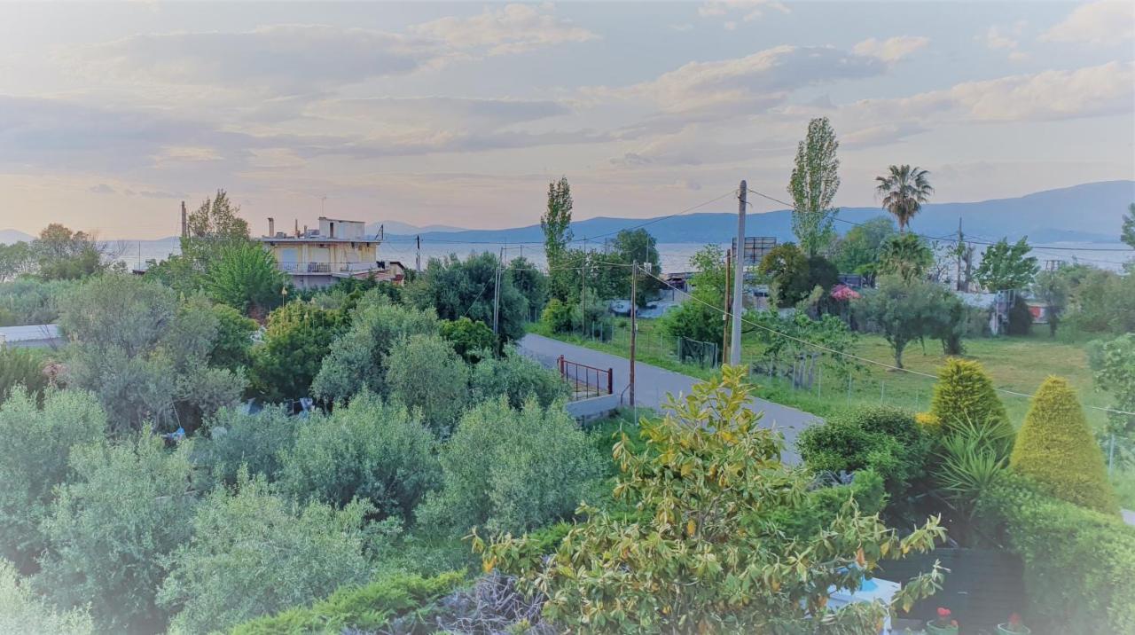 Vacation And Relaxation Home Oropos Nea Palatia Esterno foto